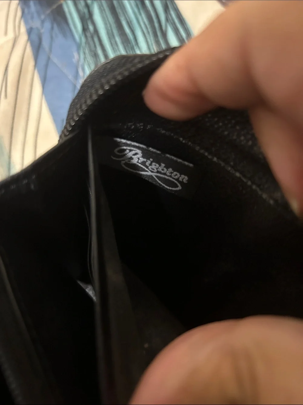 Brighton clutch/wallet
